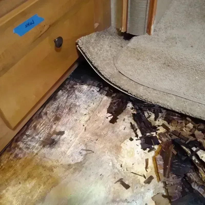 Wood Floor Water Damage in Lilburn, GA